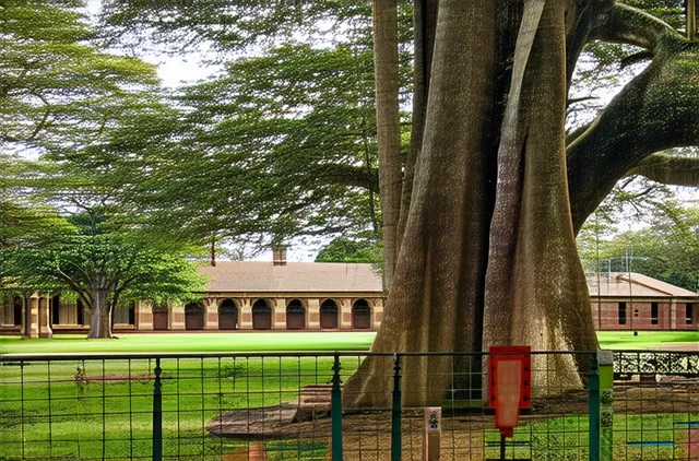 Harare hidden gems