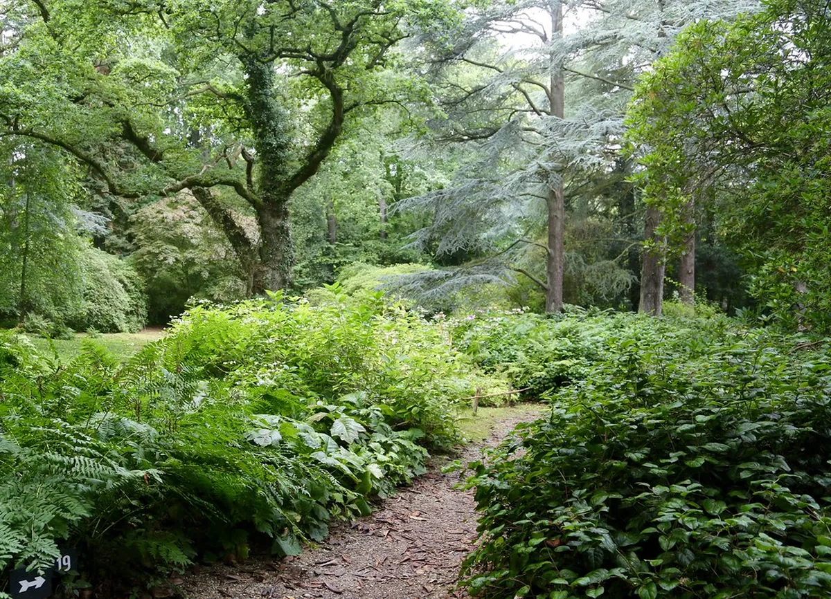 14. Hidden Art Trail in the Forest