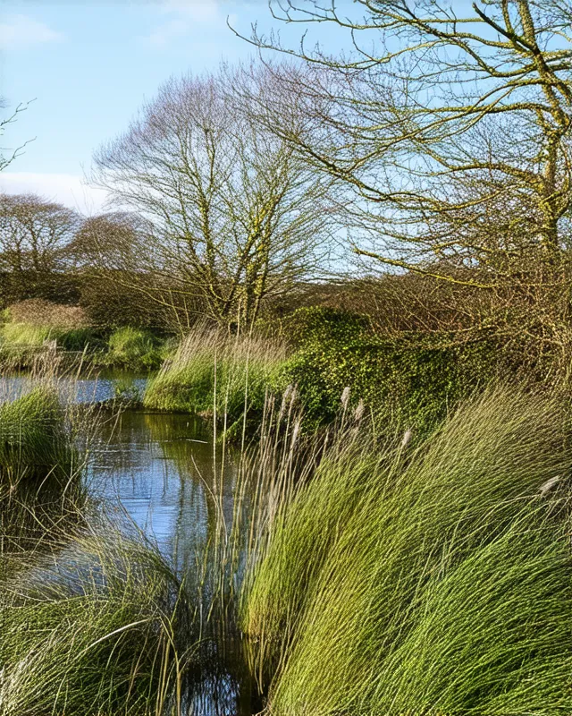Hidden natural areas in Dublin