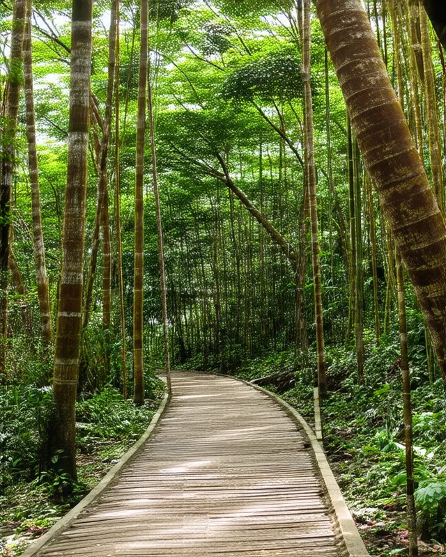 Hidden natural areas in Manila