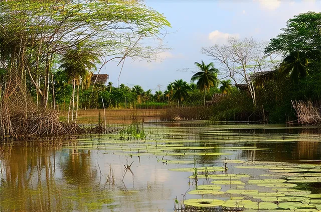 Hidden natural attractions in Battambang