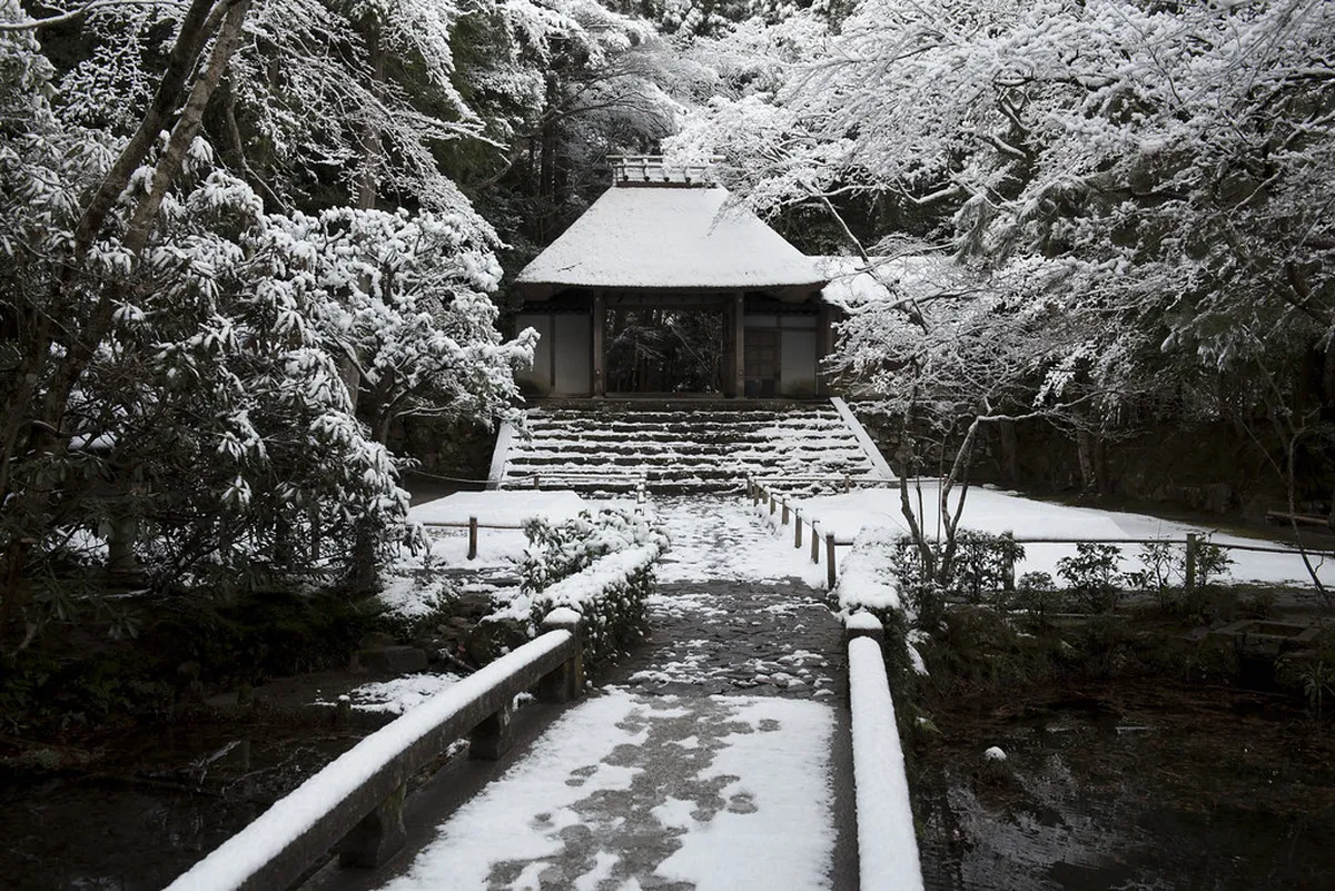 11. Honen-in Temple Garden