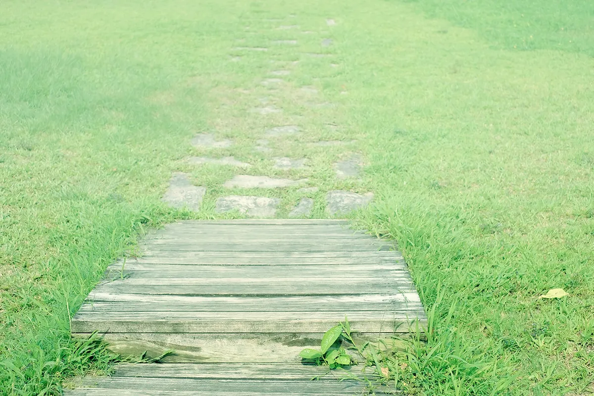 7. Hong Kong Wetland Park, Tin Shui Wai