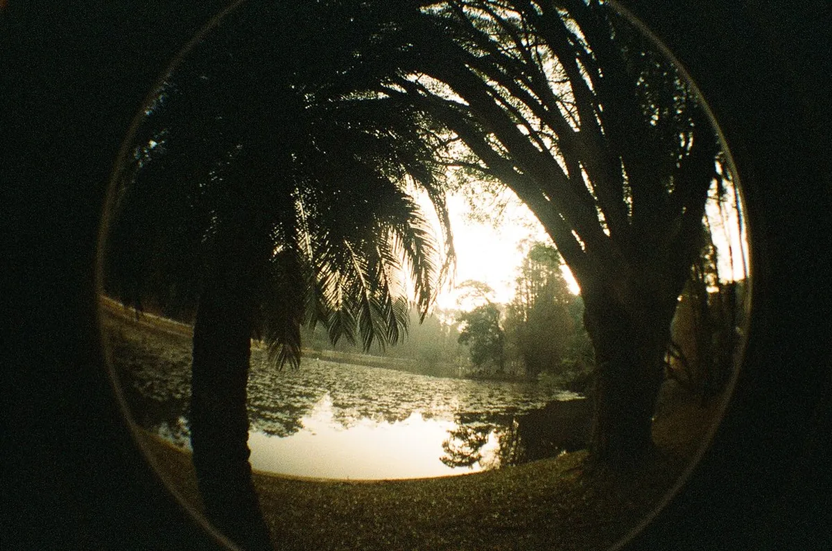 14. Horto Florestal