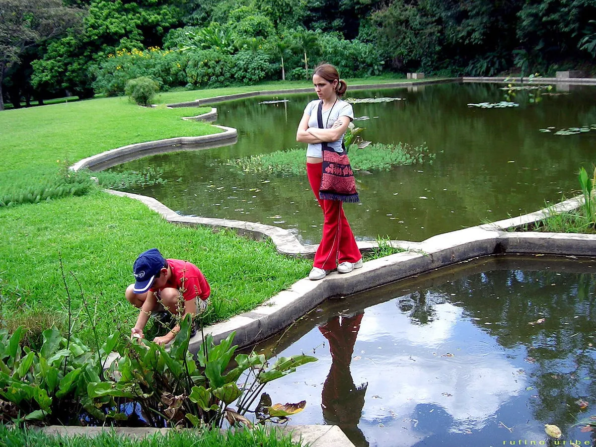 15. Jardín Botánico de Caracas