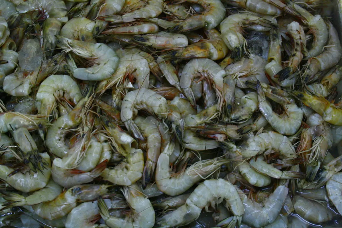 8. Karama Market