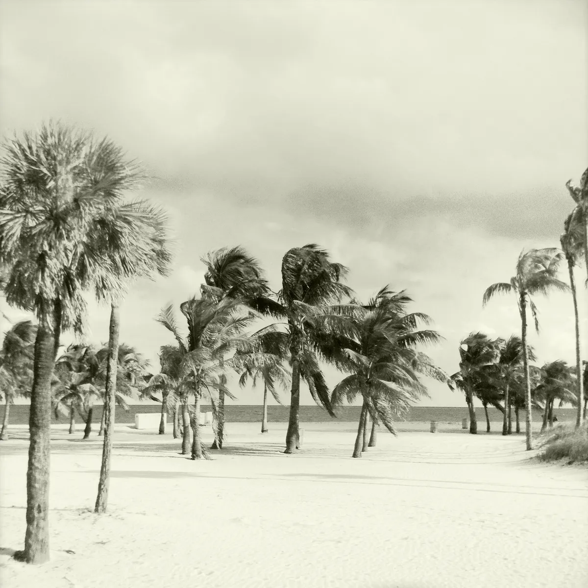 3. Key Biscayne’s Crandon Park