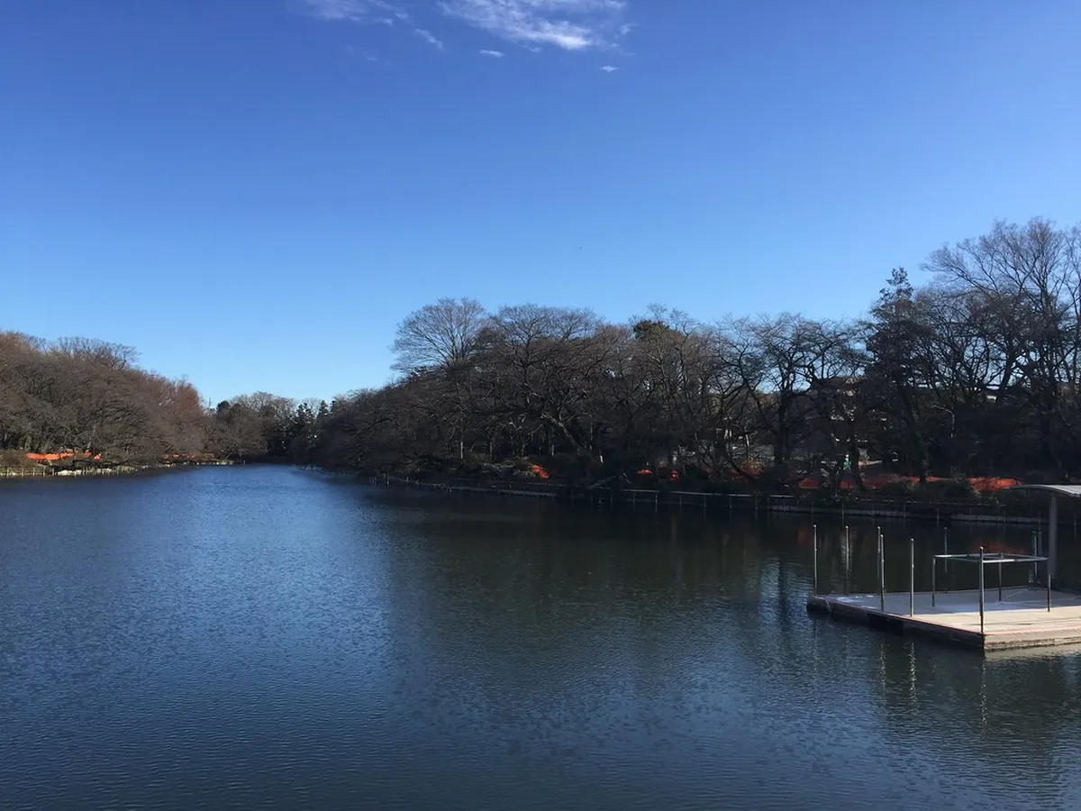 18. Kichijoji and Inokashira Park