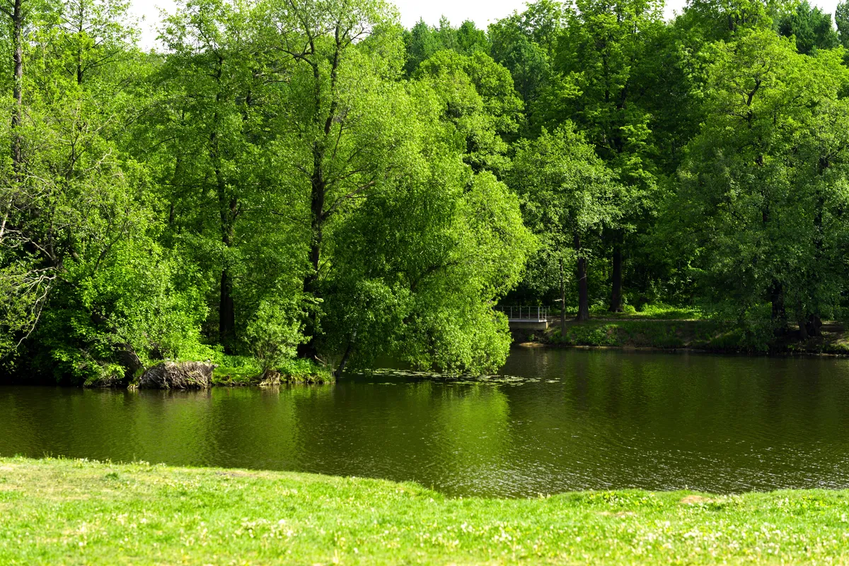 3. Kuzminki Park Area