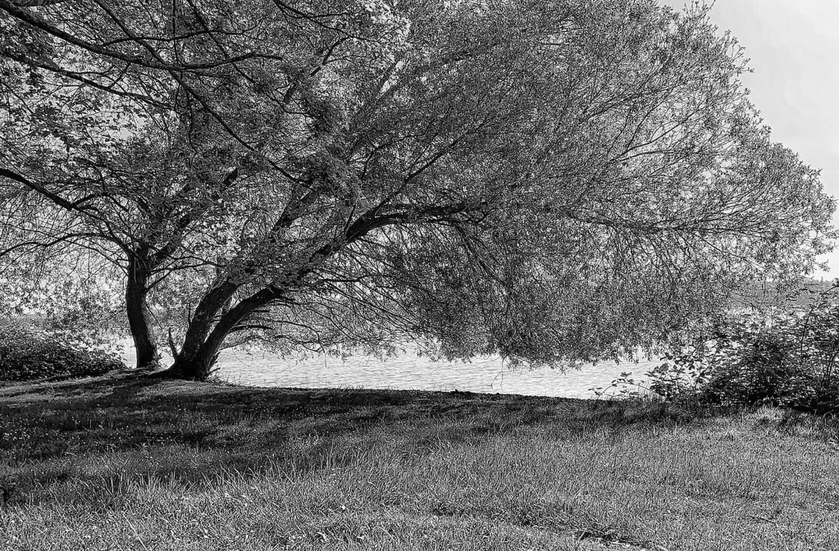 5. Magnuson Park