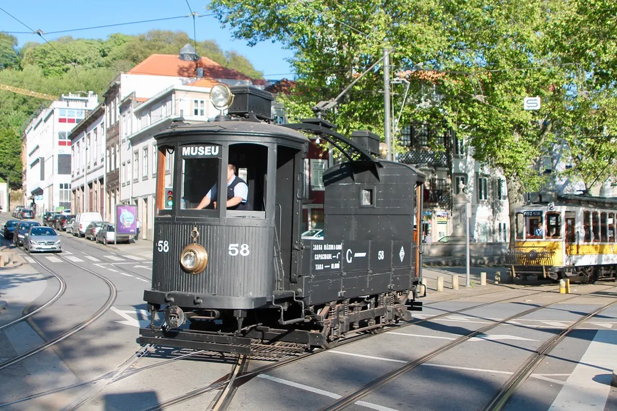 11. Massarelos