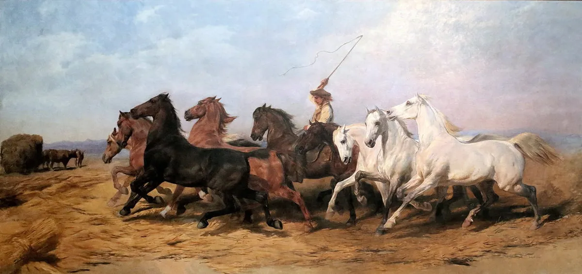 11. Musée des Beaux-Arts