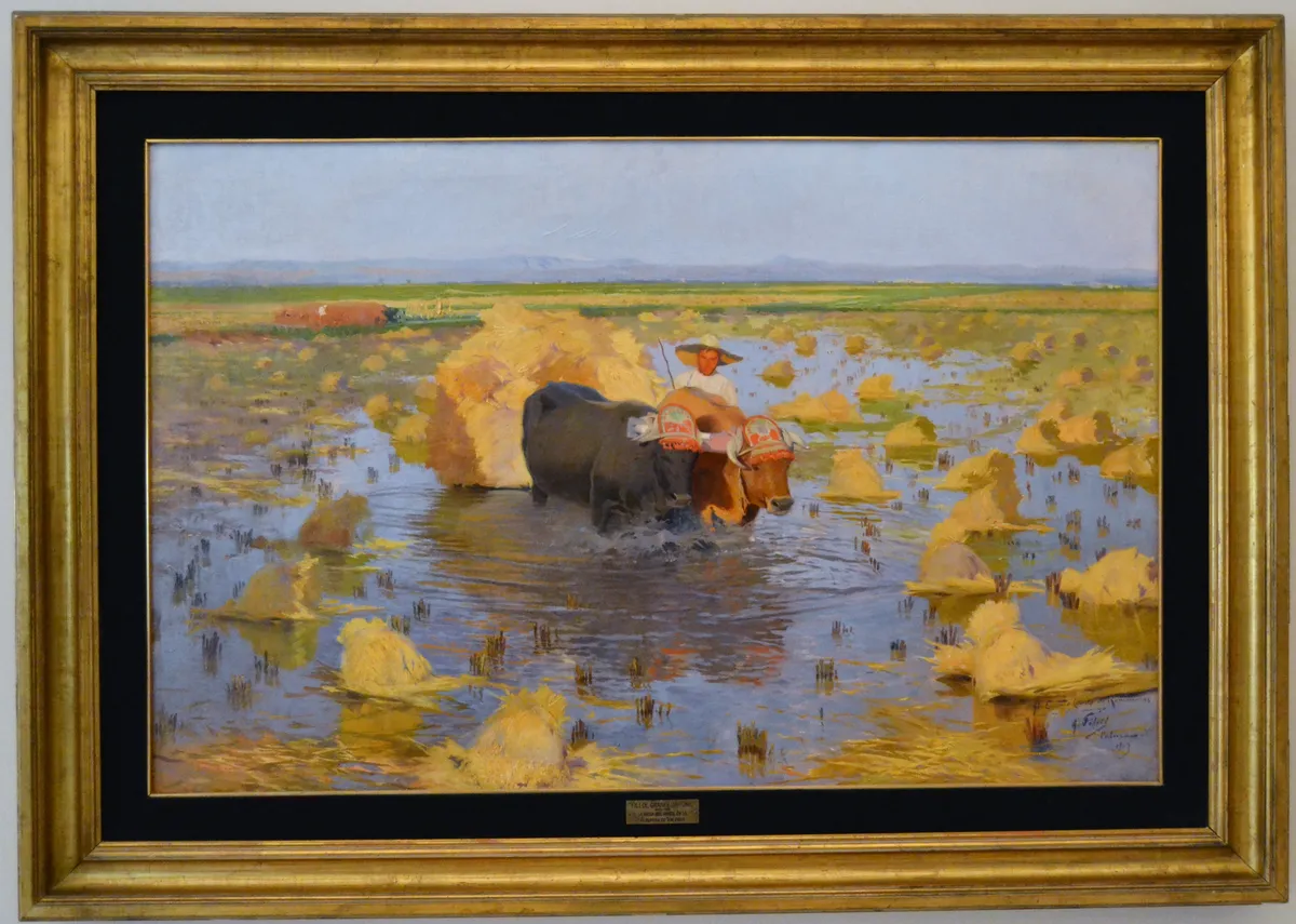 9. Museo de la Albufera