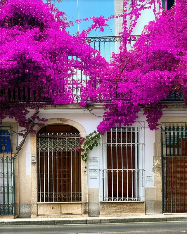 Naples hidden gems
