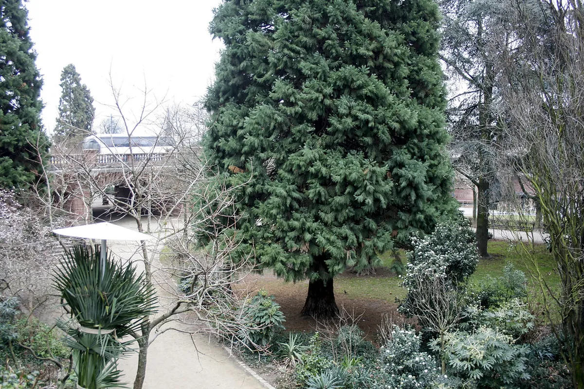 2. Nizza Park