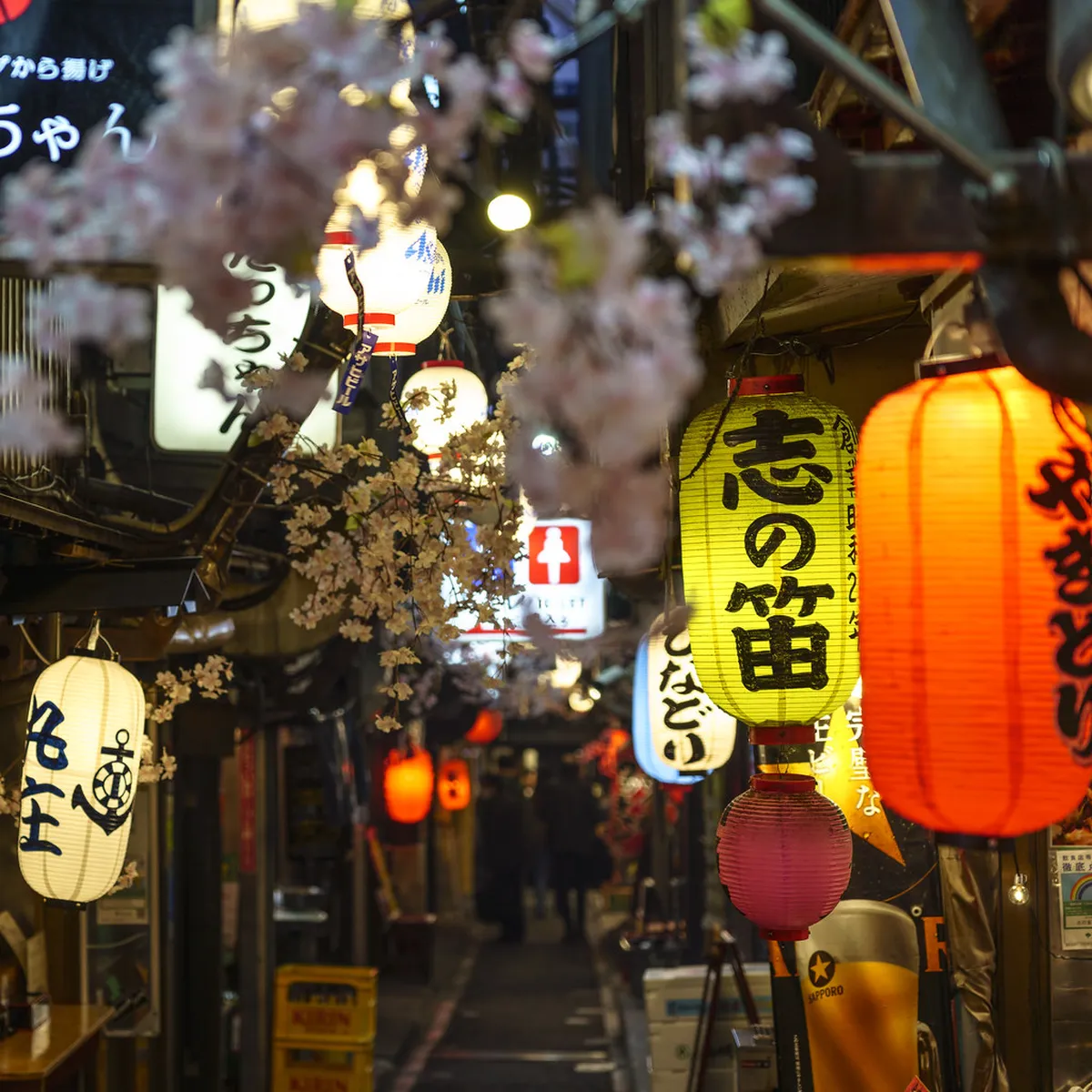 12. Omoide Yokocho