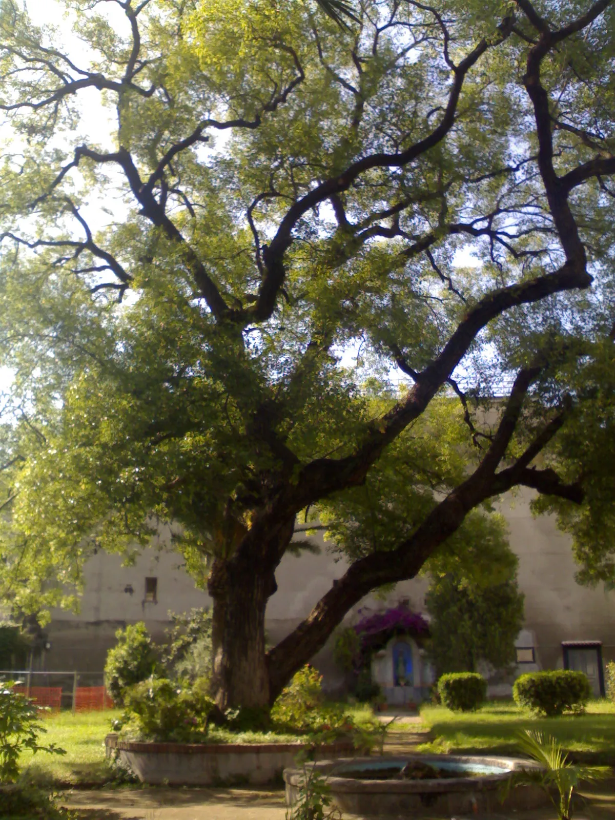 6. Ospedale degli Incurabili