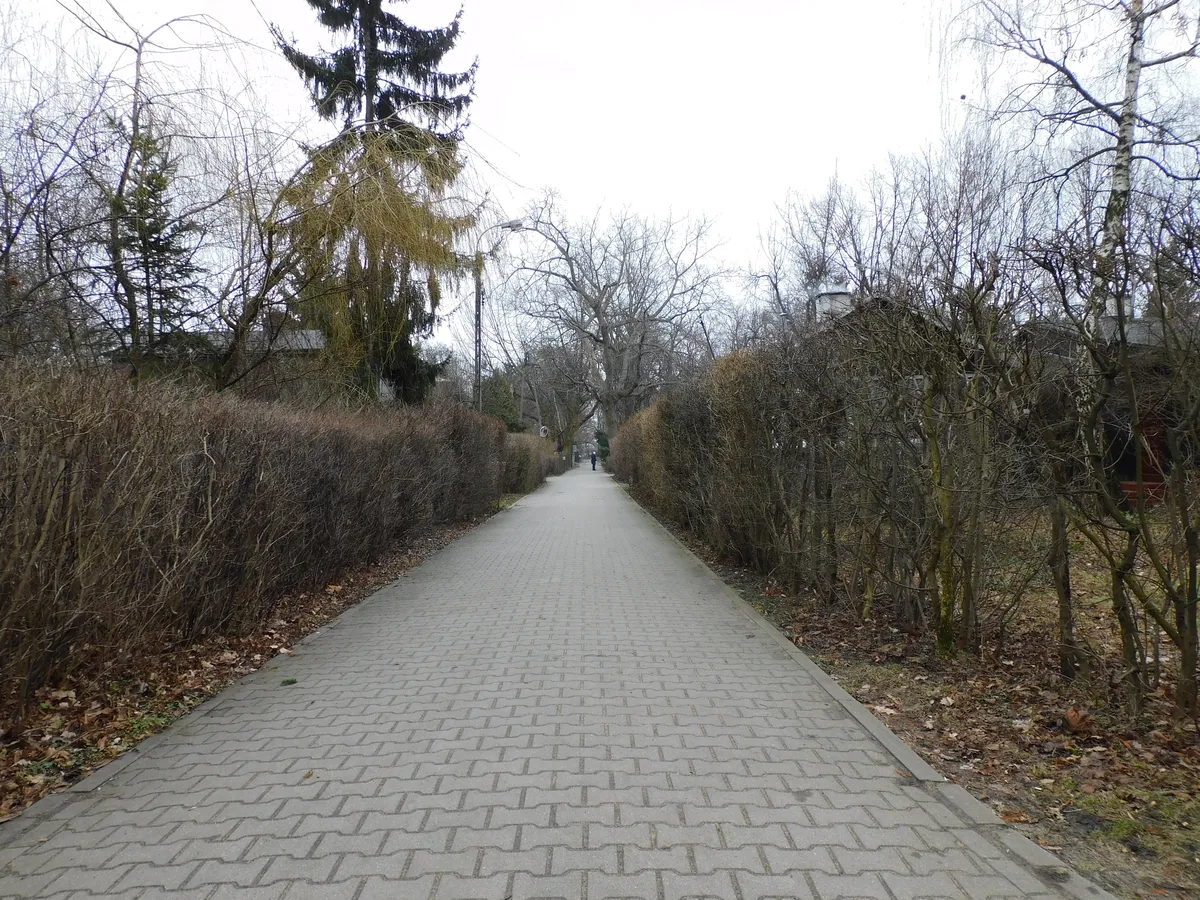 12. Otwarty Jazdów