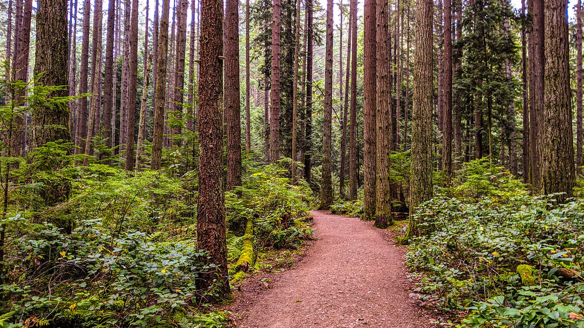 1. Pacific Spirit Regional Park