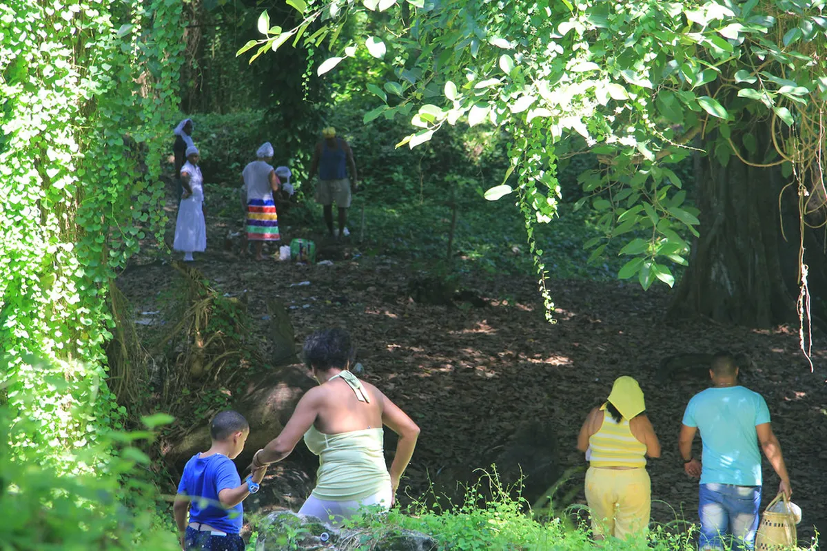 11. Parque Almendares