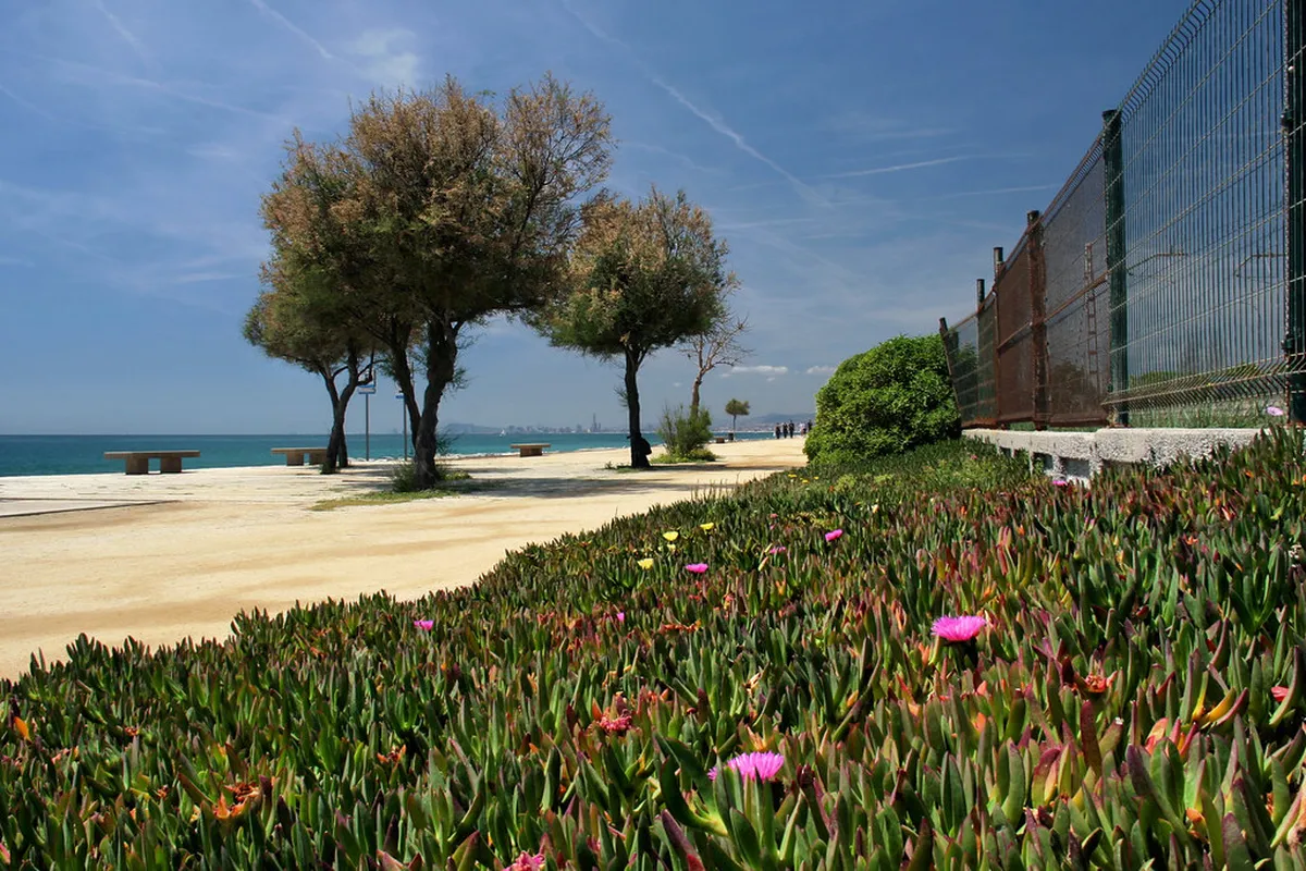 9. Platja de el Maresme