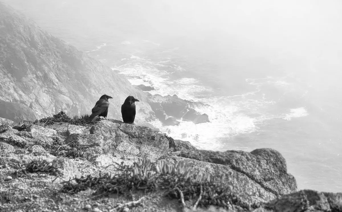 13. Point Reyes National Seashore