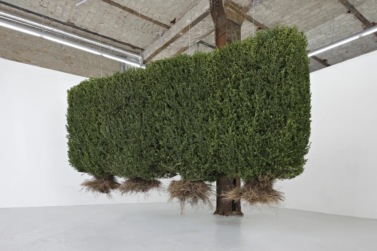5. PSM Gallery
