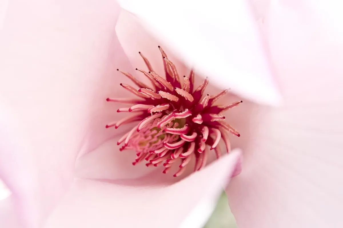 20. Queens Botanical Garden, Flushing