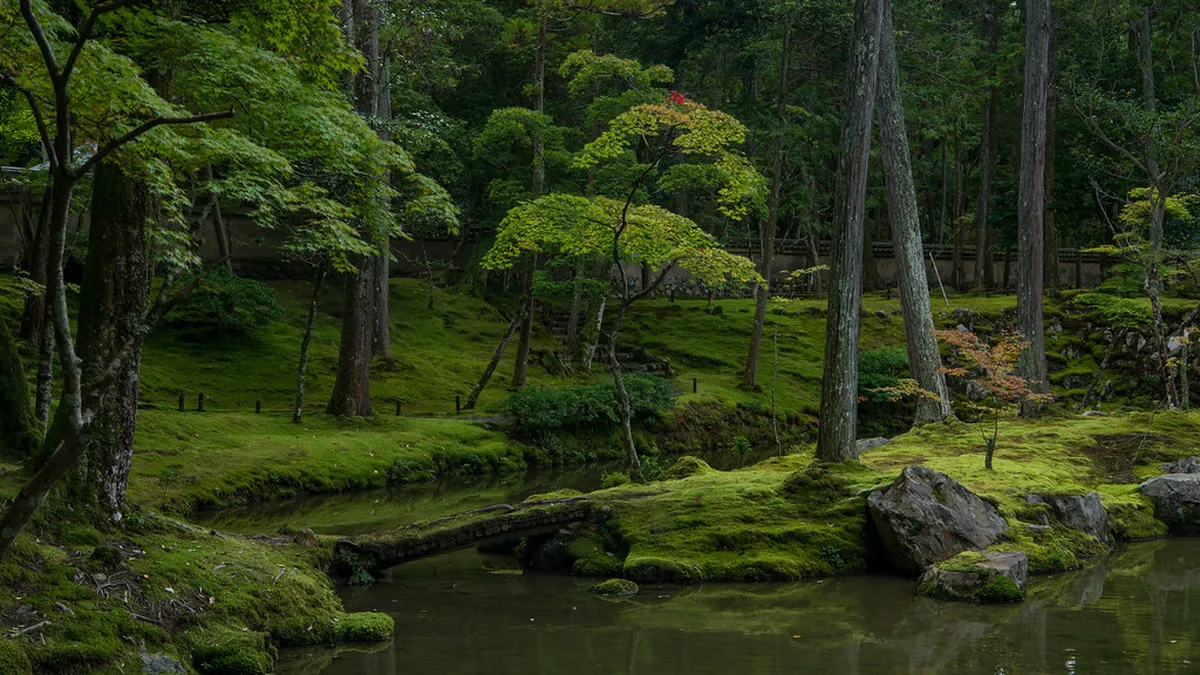 14. Saihō-ji (Moss Temple)