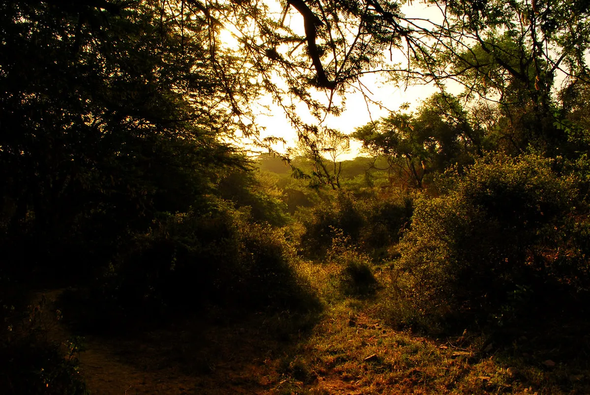9. Sanjay Van