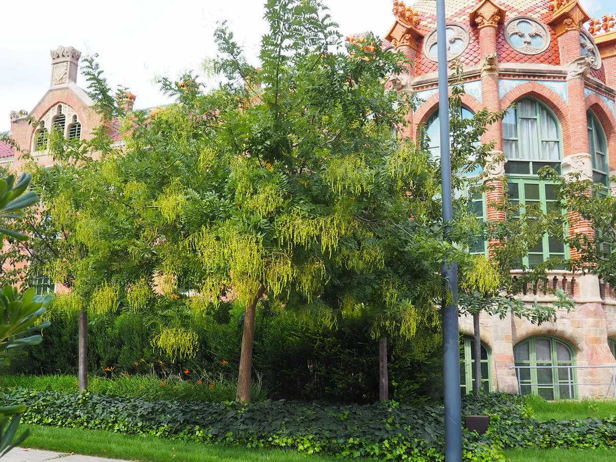 5. Sant Pau Recinte Modernista