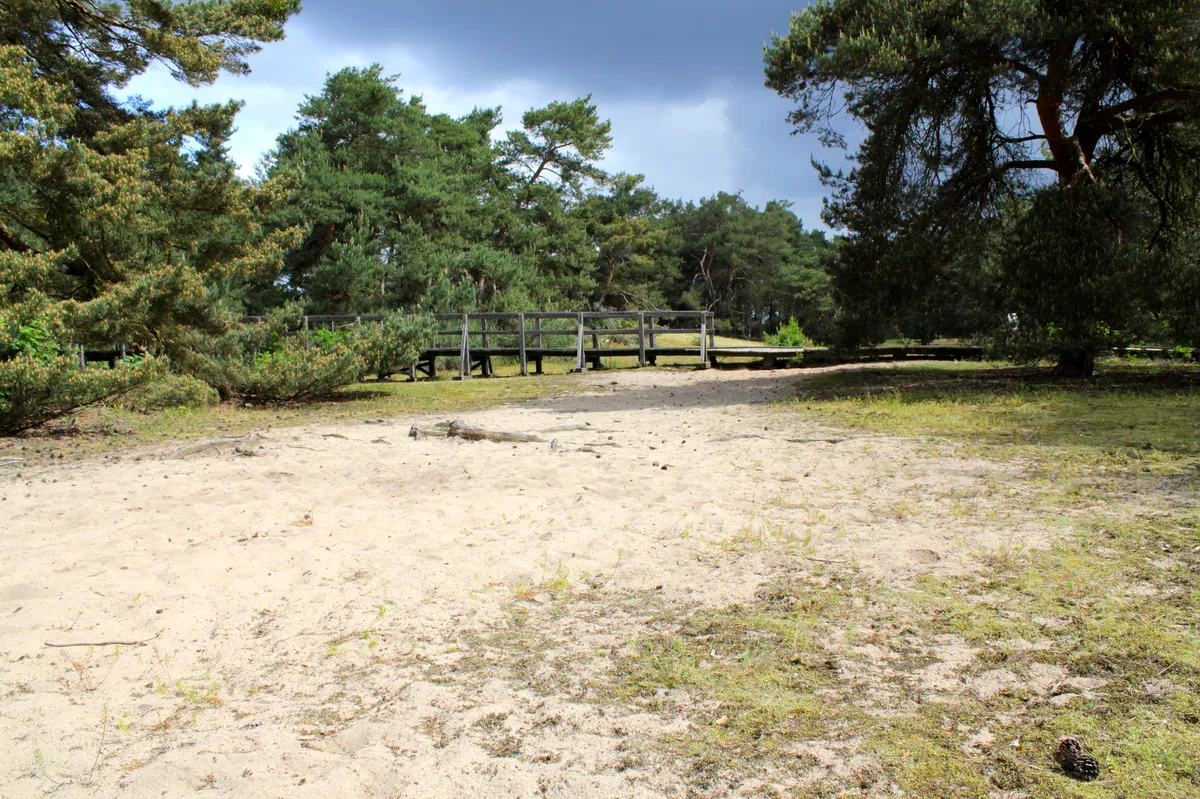 3. Schwanheimer Düne
