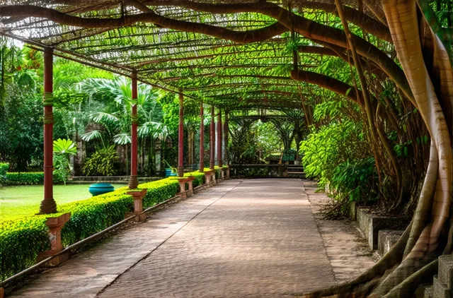 Secret gardens in Anuradhapura