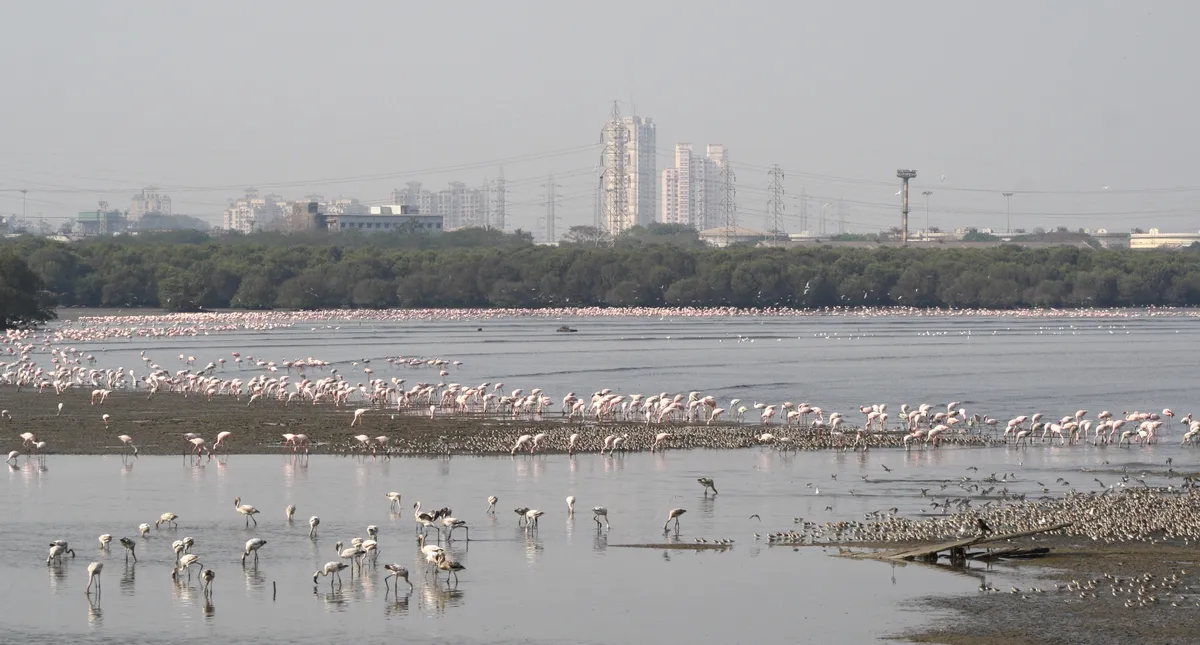 5. Sewri Fort