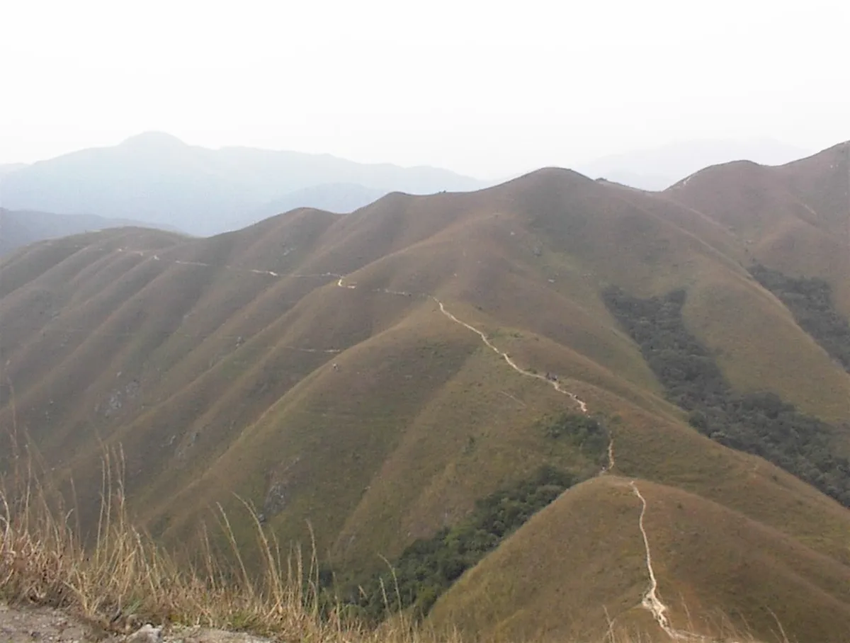 5. Sharp Peak