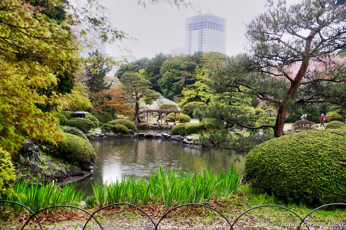 17. Shinjuku Gyoen National Garden
