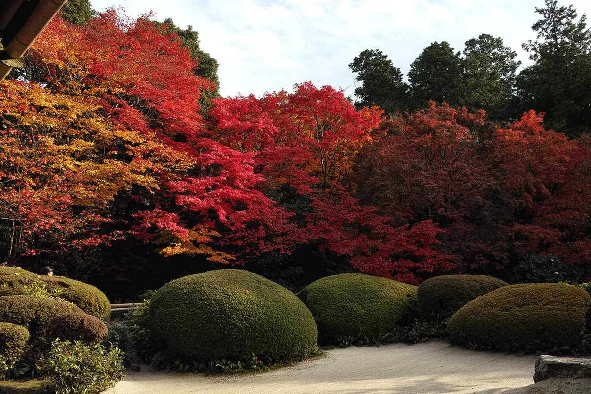 9. Shisendo Garden