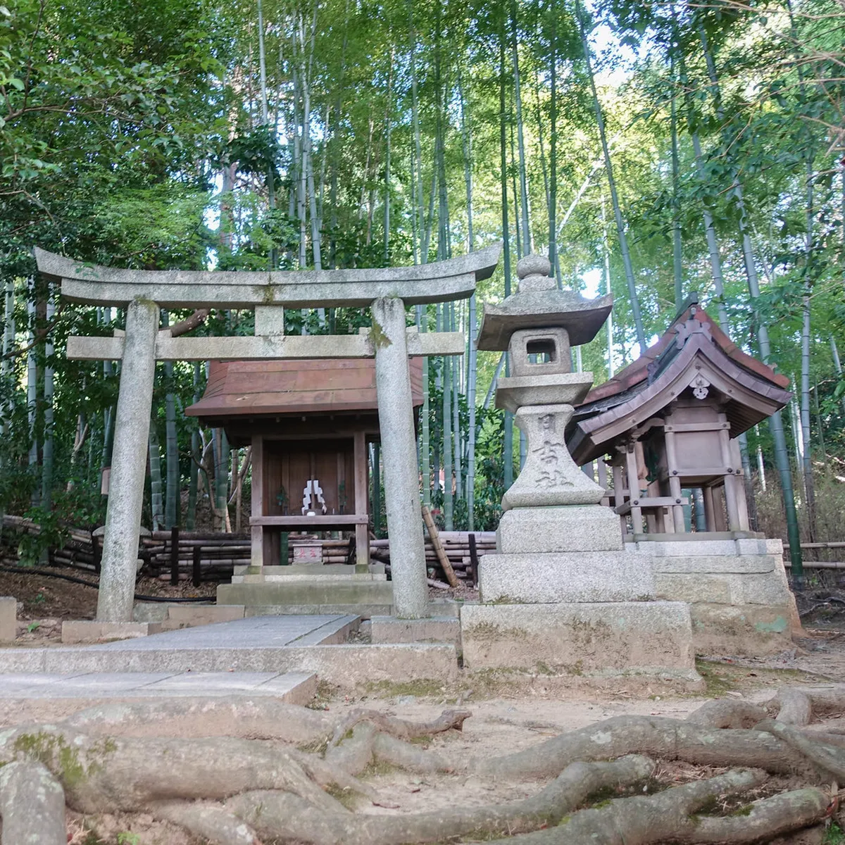 6. Shoren-in Temple