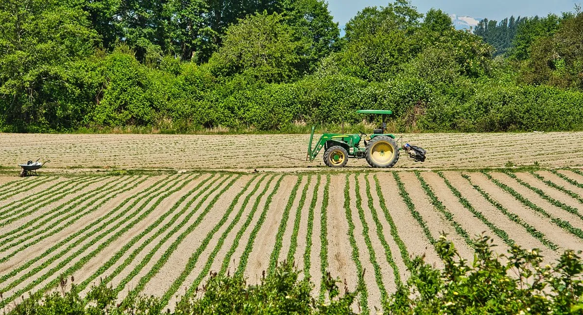 15. Southlands Heritage Farm