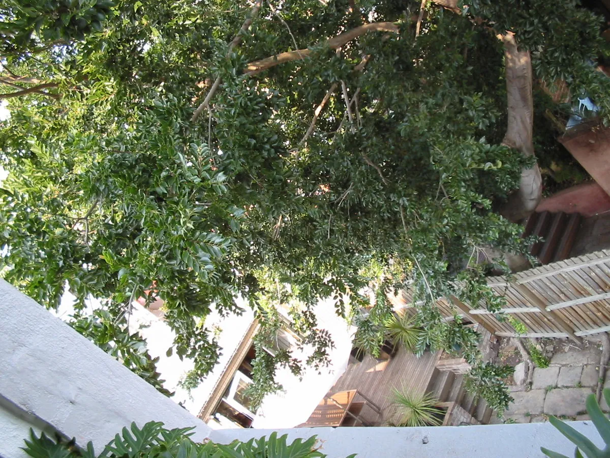 7. Surry Hills