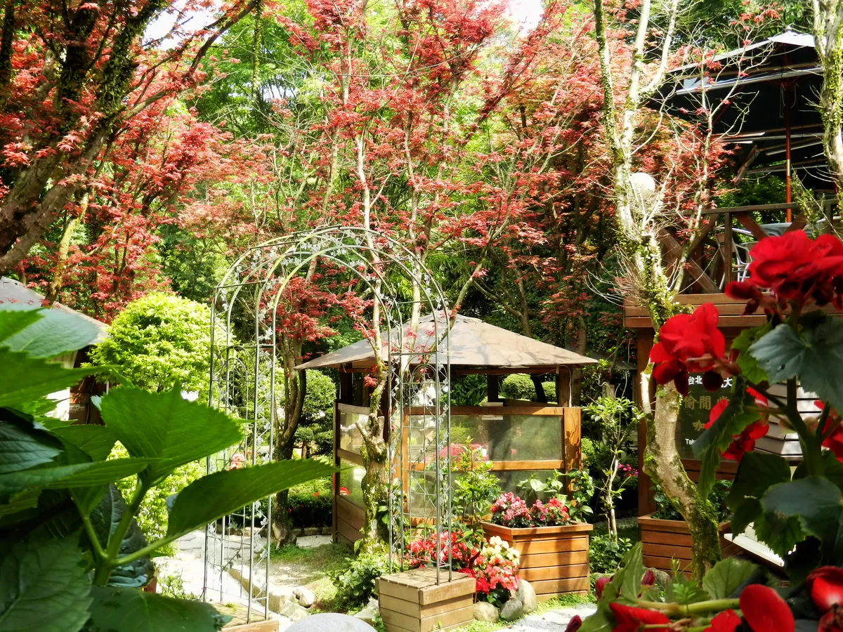 18. Taipei’s secret Cafes