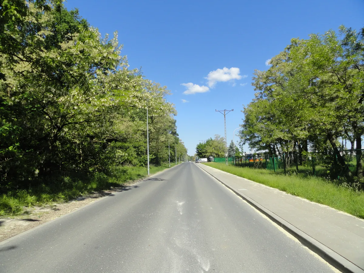 9. The Bialoleka Forest