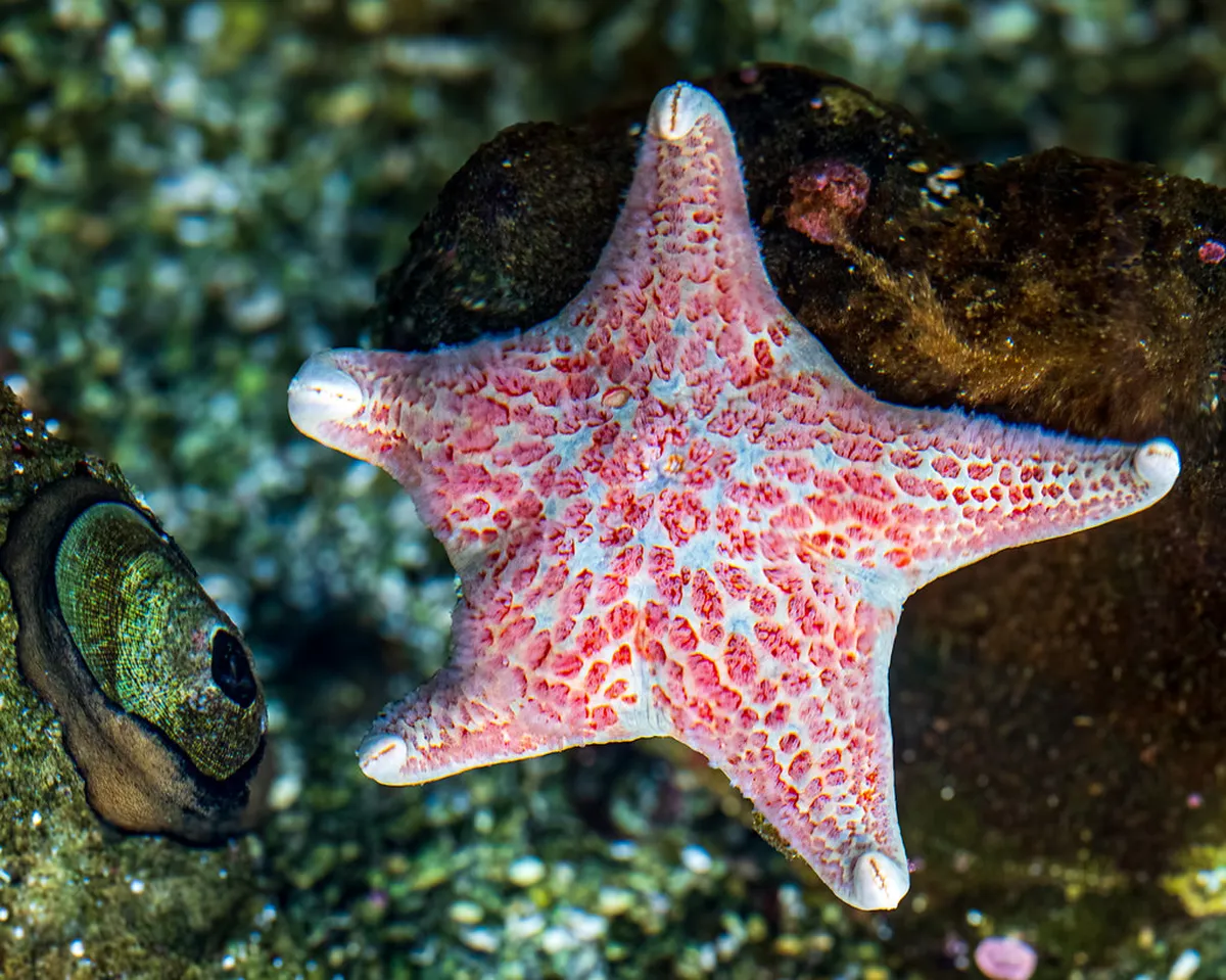 16. The Birch Aquarium