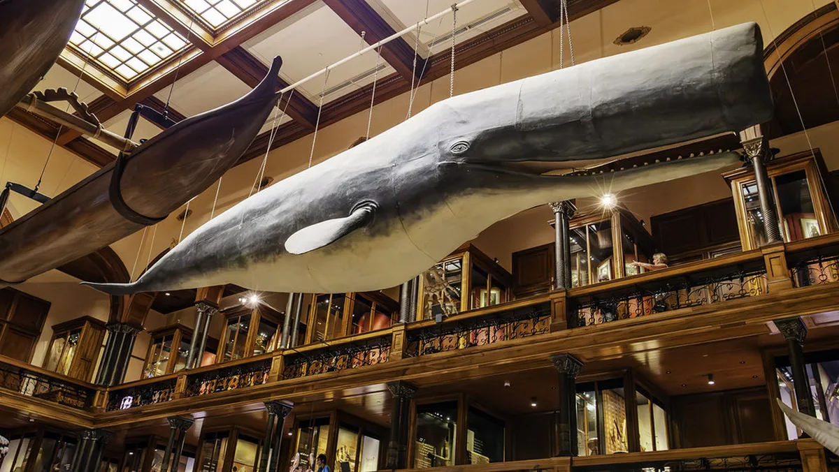 15. The Bishop museum
