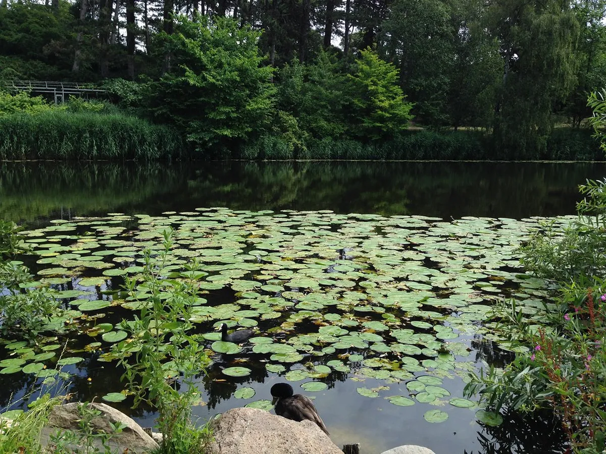 10. The Botanical Garden (Botanisk Have)