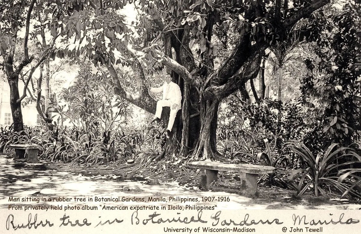 7. The Botanical Garden in Manila