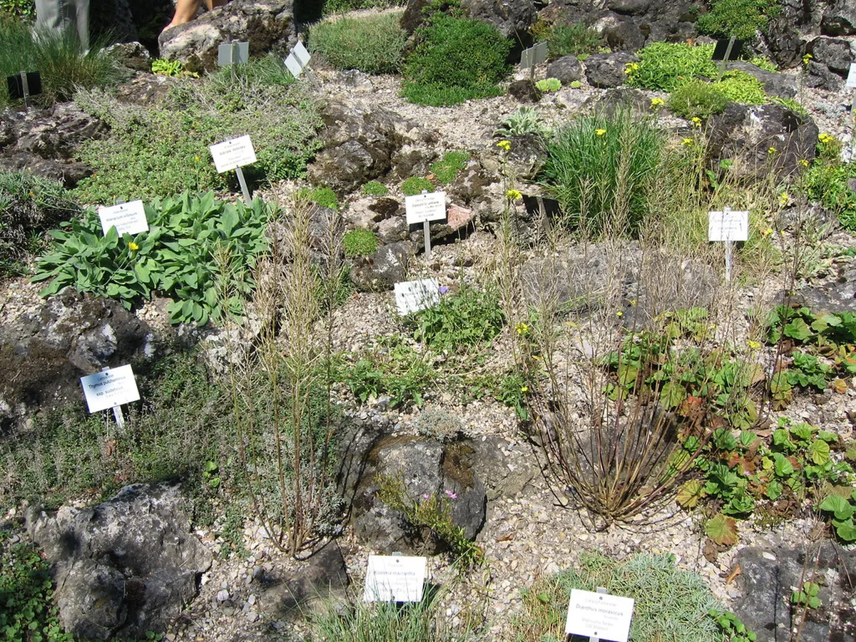 4. The Botanical Garden of the University of Vienna