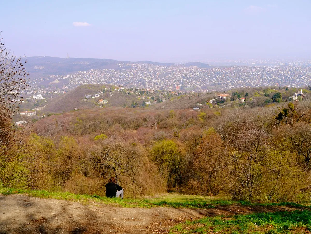 9. The Buda Hills