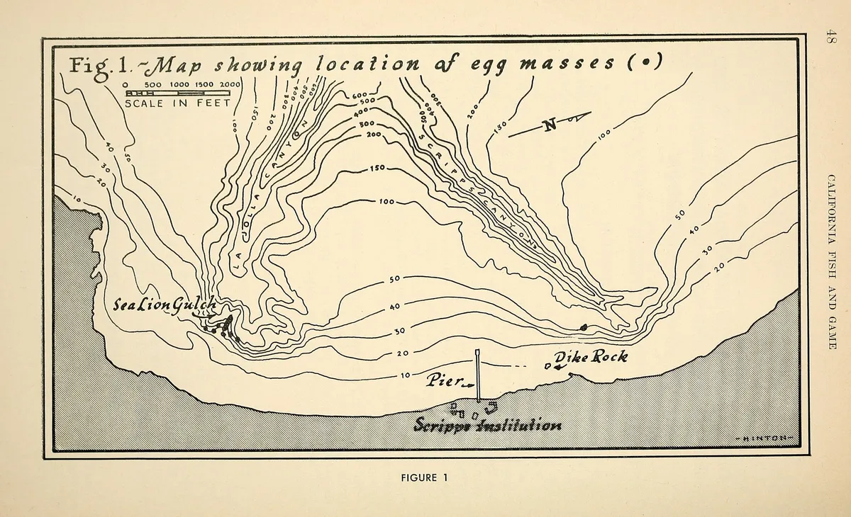 1. The Fishery, La Jolla