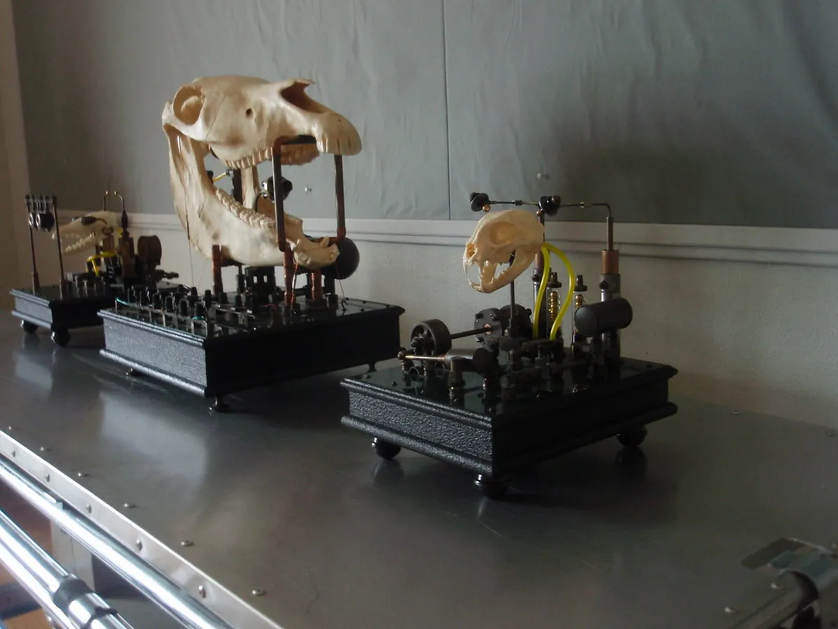 4. The International Museum of Surgical Science